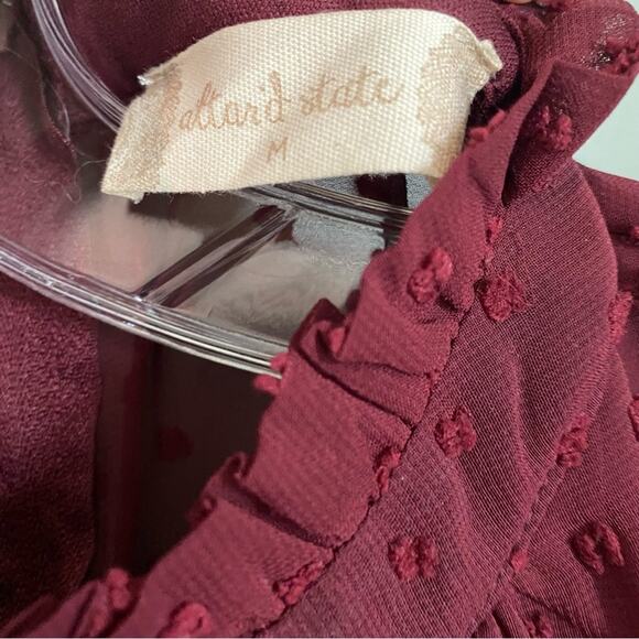 Altar’d State Swiss Dot Burgundy High Neck Sheer Dress - Picture 4 of 5